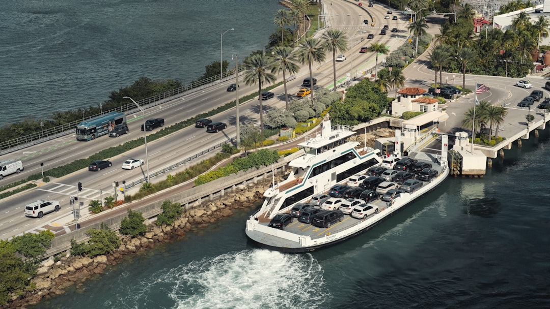 Wildlife Encounters: Marine Life Spotting on Canada's Coasts