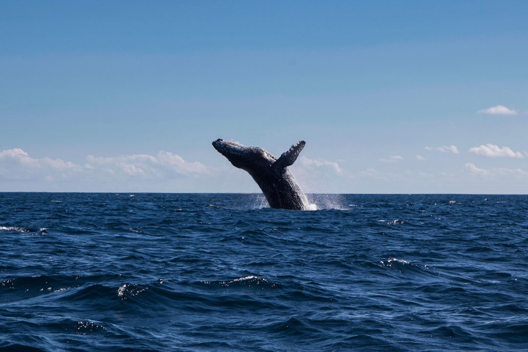 Princess Louisa Inlet, British Columbia