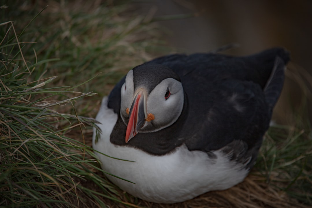 Great Bear Rainforest, British Columbia